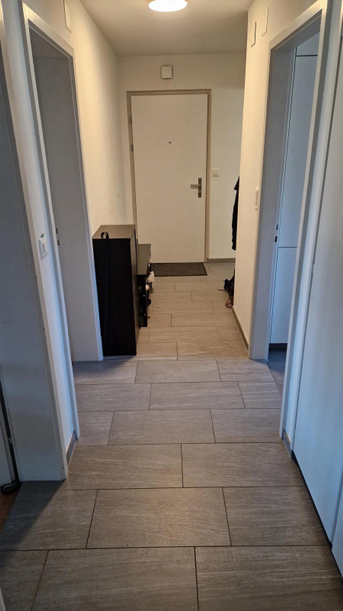 Appartamento soleggiato con 3 stanze a Chur - Foto 2 di 8