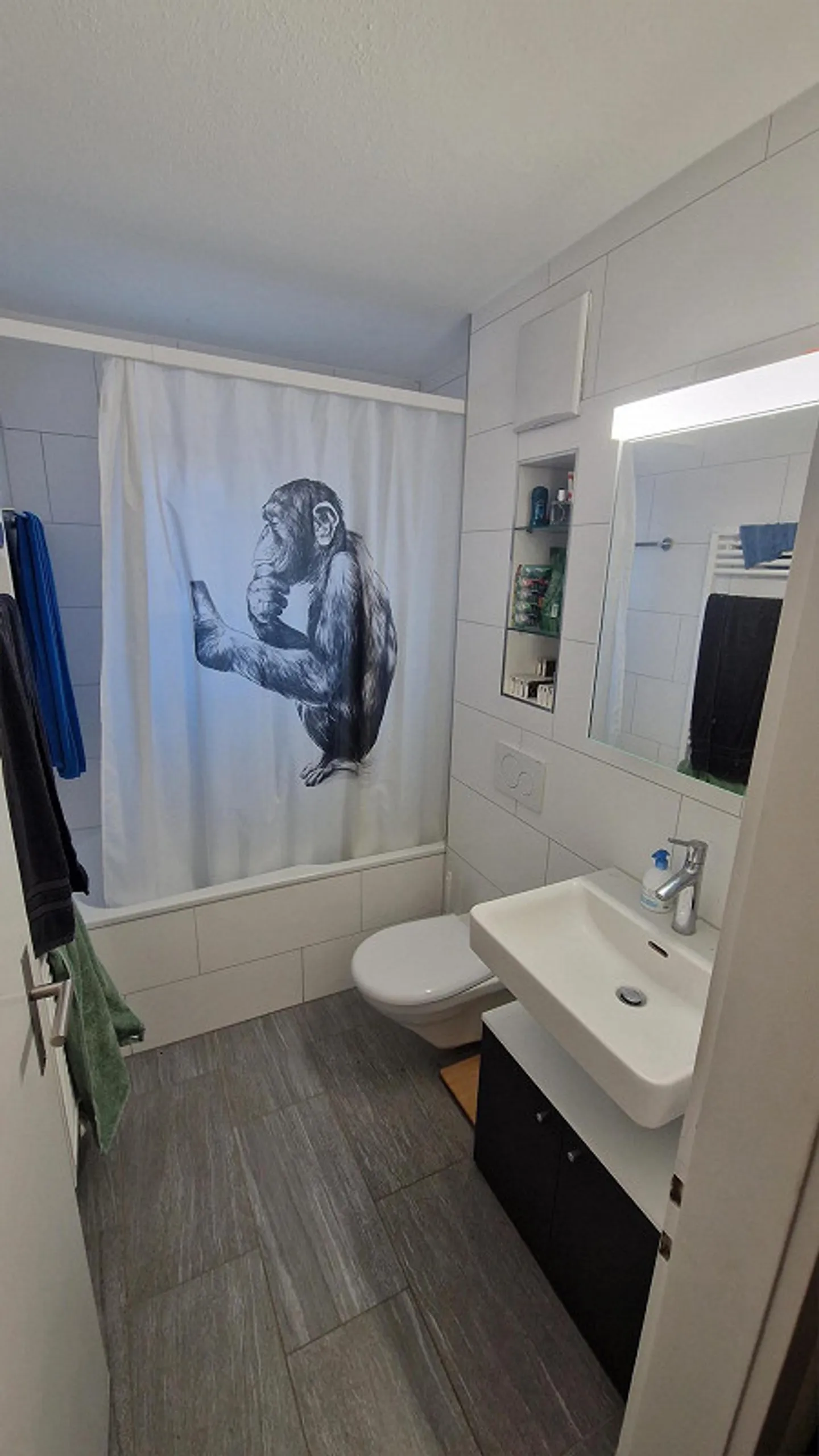 Appartamento soleggiato con 3 stanze a Chur - Foto 4 di 8