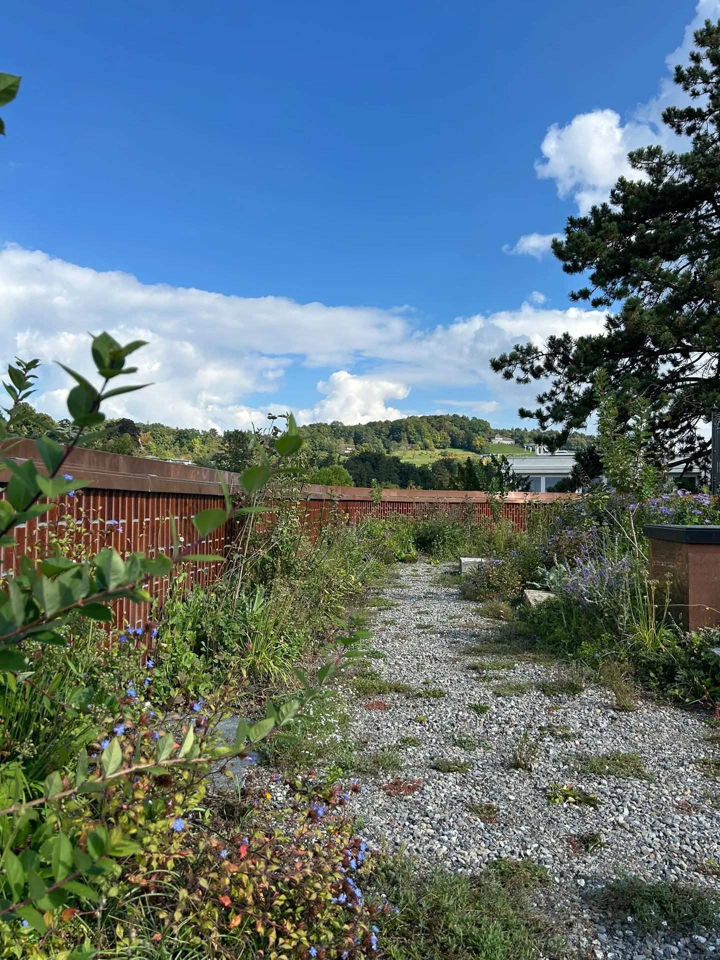 Appartamento esclusivo a Winterthur - Foto 9 di 10