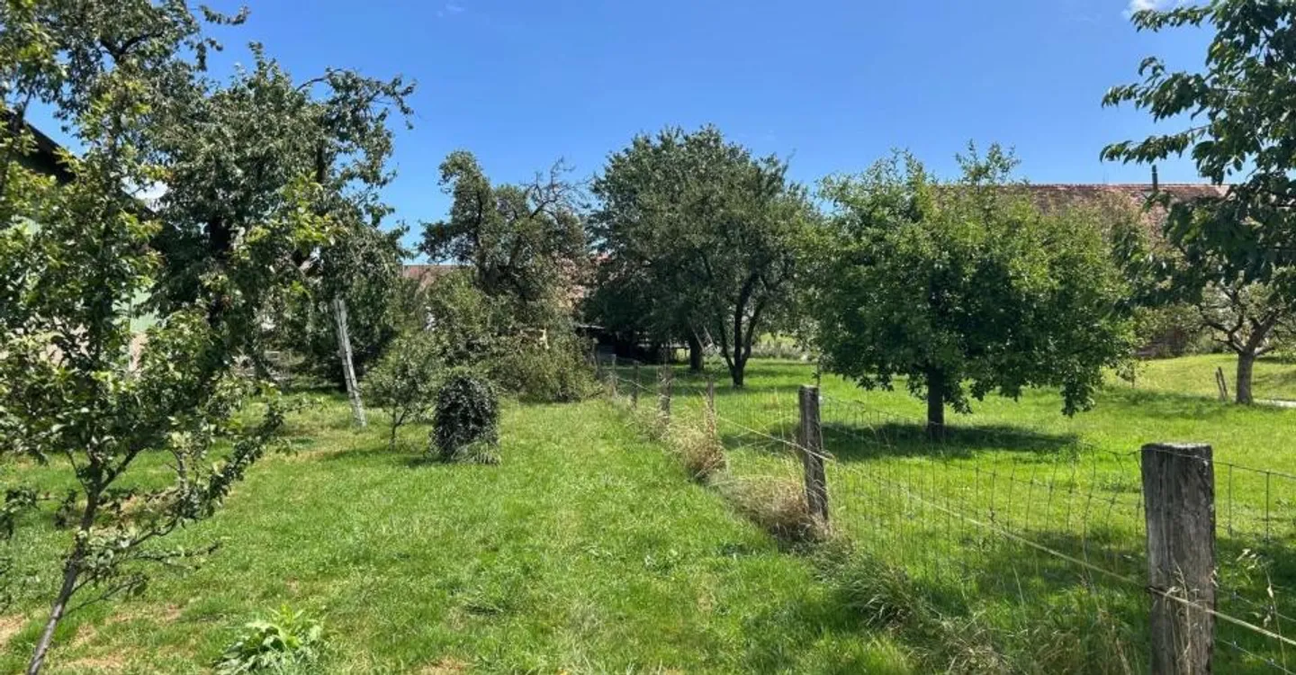 Maison charmante, à seulement 5 minutes d'Yverdon - Photo 3 sur 8