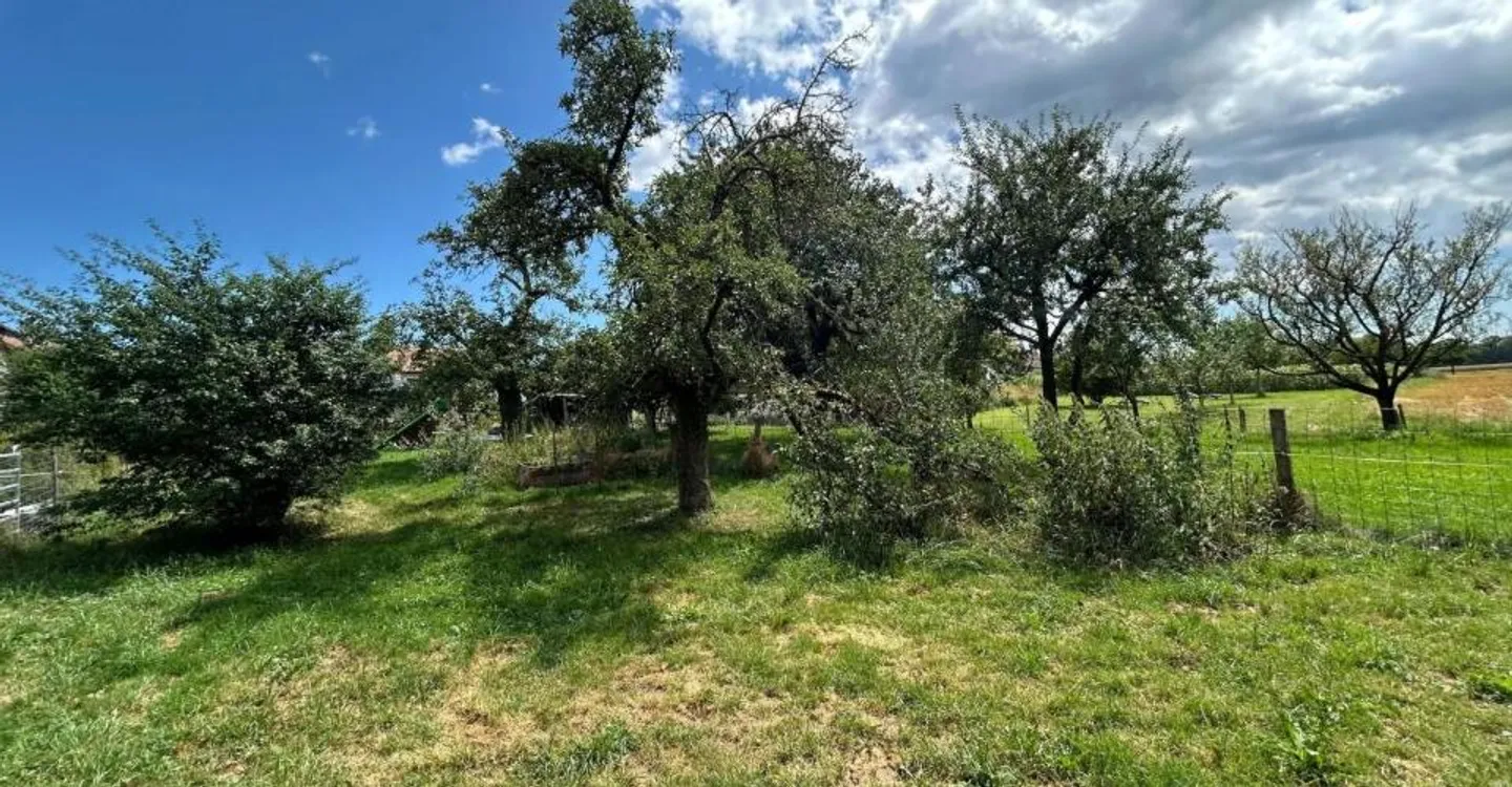 Maison charmante, à seulement 5 minutes d'Yverdon - Photo 8 sur 8