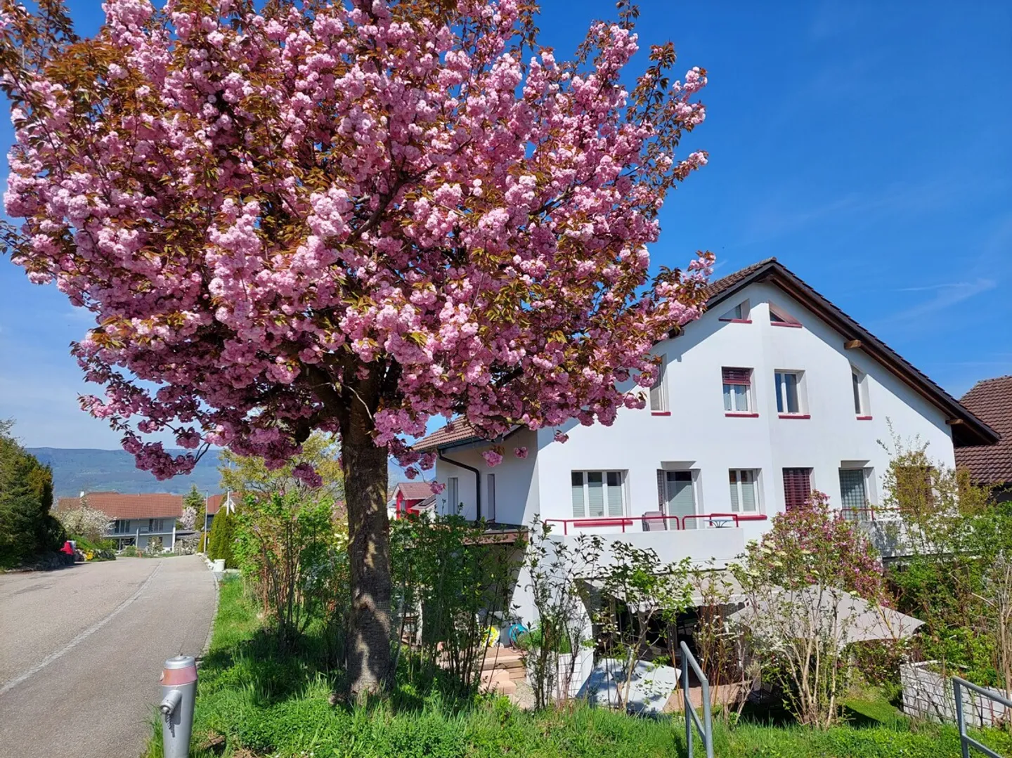 VILLA DOPPIA DI 5,5 STANZE IN UNA POSIZIONE IDILLICA - Foto 1 di 16