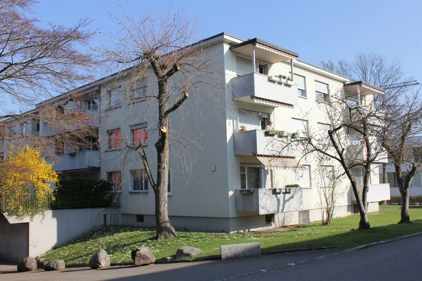 Large, bright apartment, centrally located - Photo 1 of 1