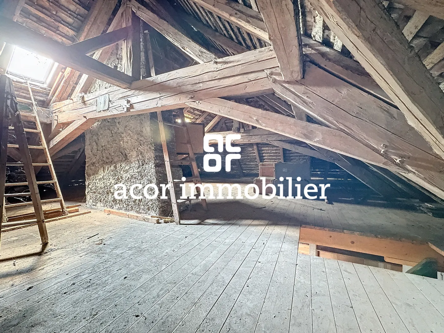 OPPORTUNITÉ EXCLUSIVE POUR LES INVESTISSEURS - Photo 3 sur 5