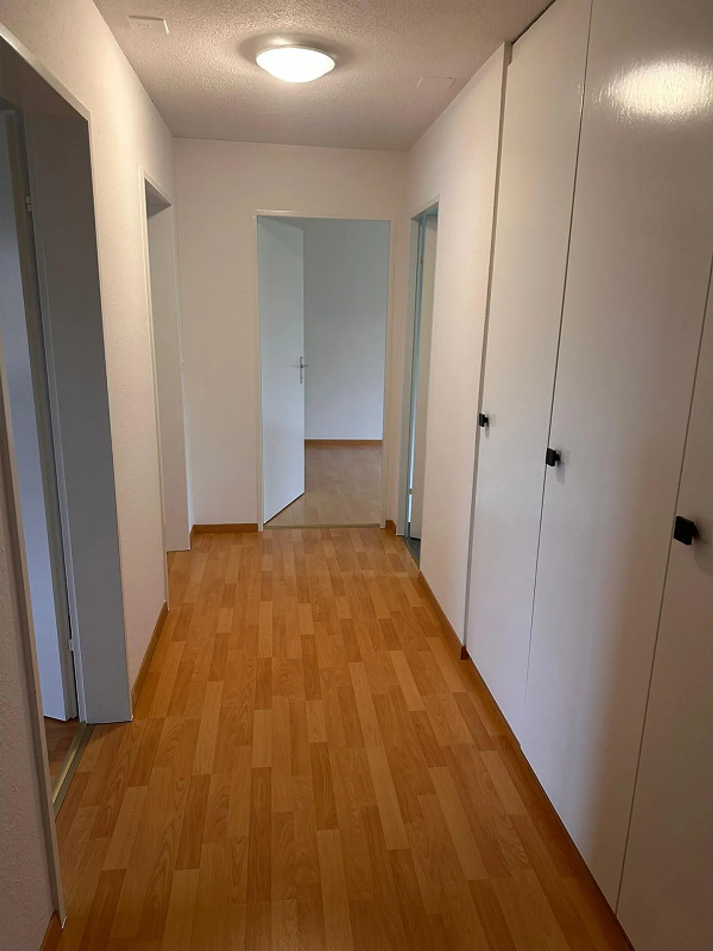 Appartamento 3.5 stanze, cucina/bagno come nuovo, nuovo laminato, tranquillo, ben tenuto, balcone - Foto 8 di 14