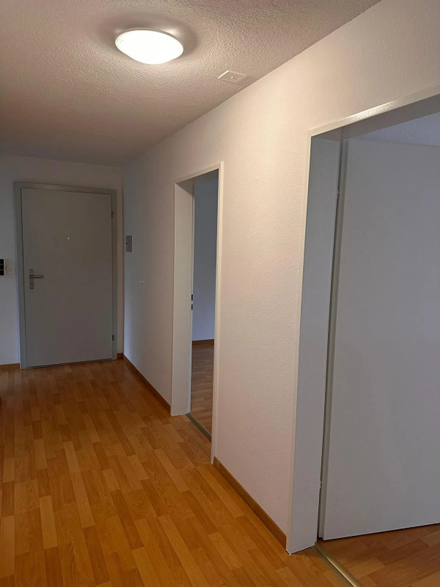 Appartamento 3.5 stanze, cucina/bagno come nuovo, nuovo laminato, tranquillo, ben tenuto, balcone - Foto 9 di 14