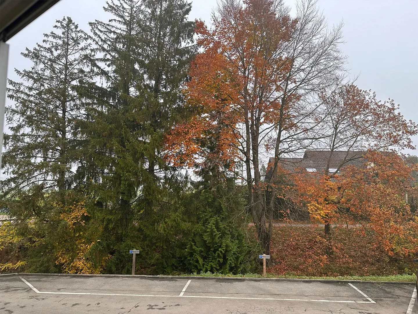 Appartamento 3.5 stanze, cucina/bagno come nuovo, nuovo laminato, tranquillo, ben tenuto, balcone - Foto 12 di 14