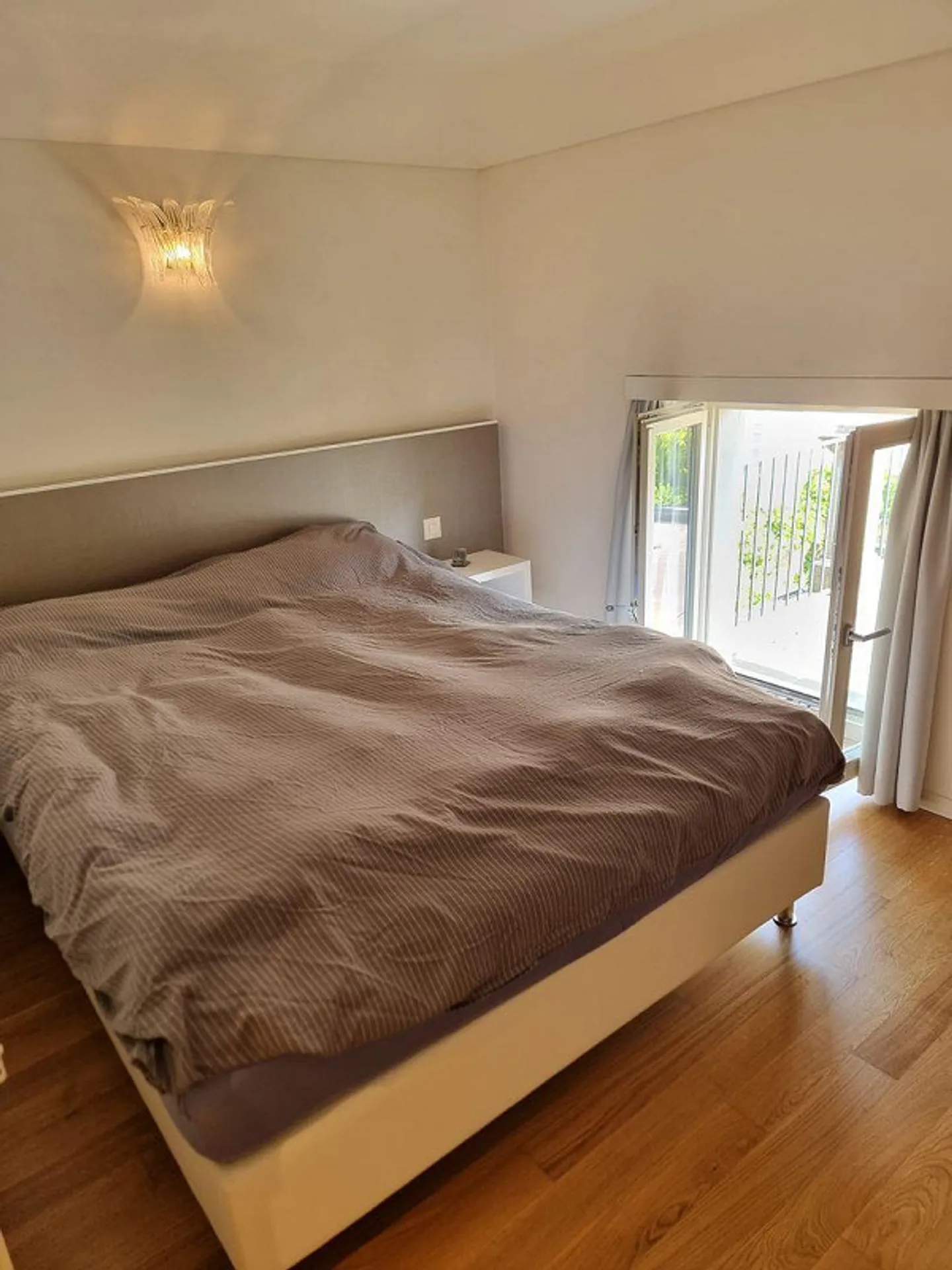 Charmante Dac... - Foto 4 di 9