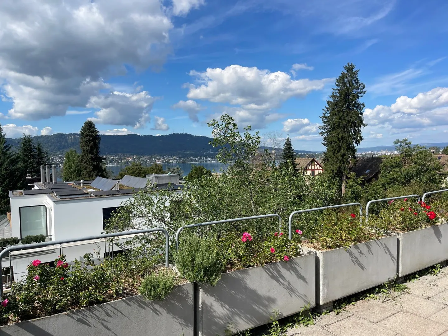 Beautiful, large apartment for rent until 31.01.2027 - Photo 5 of 8