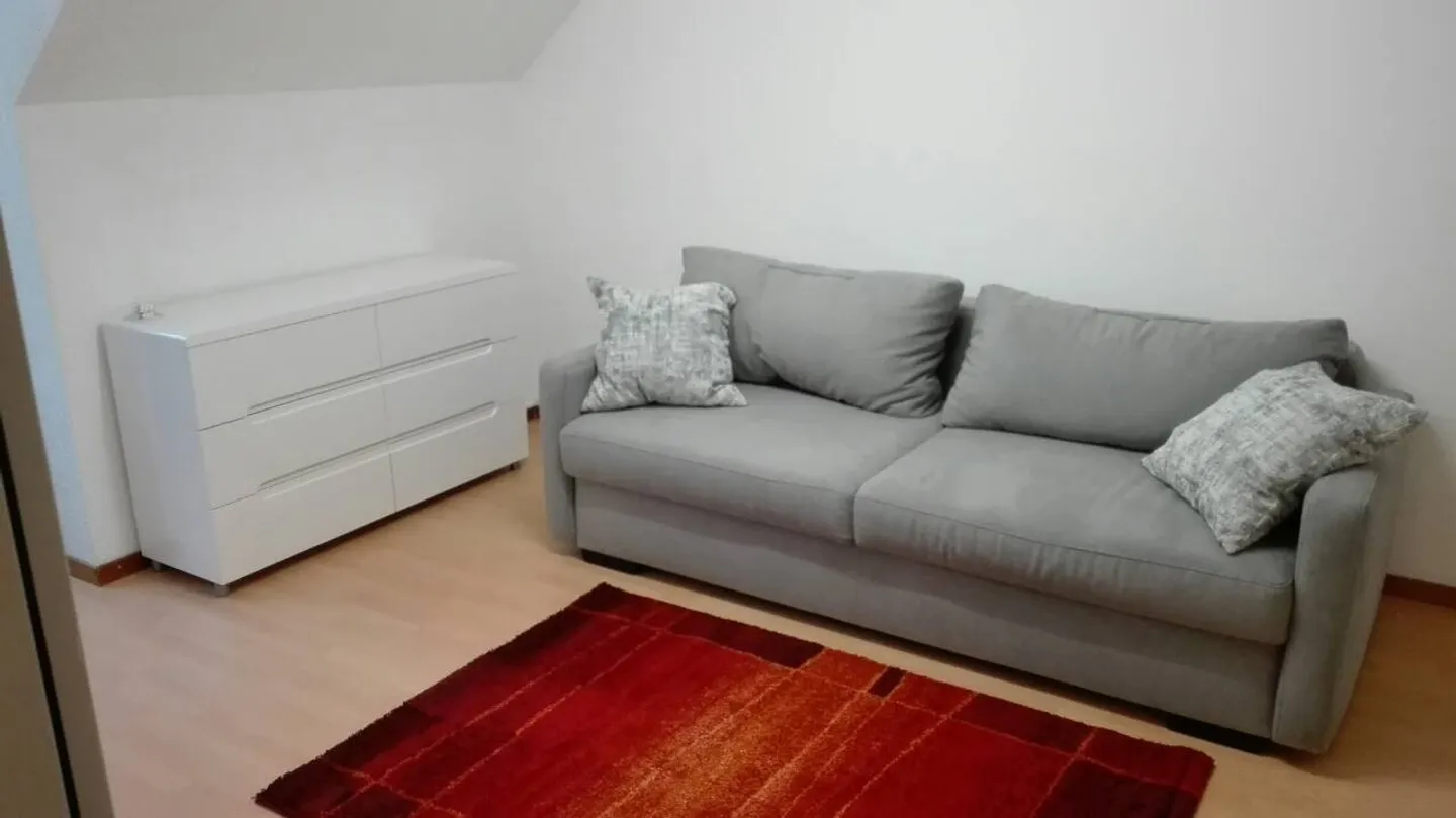 Möbliertes 1-Zimmer-Apartment - Foto 4 von 10