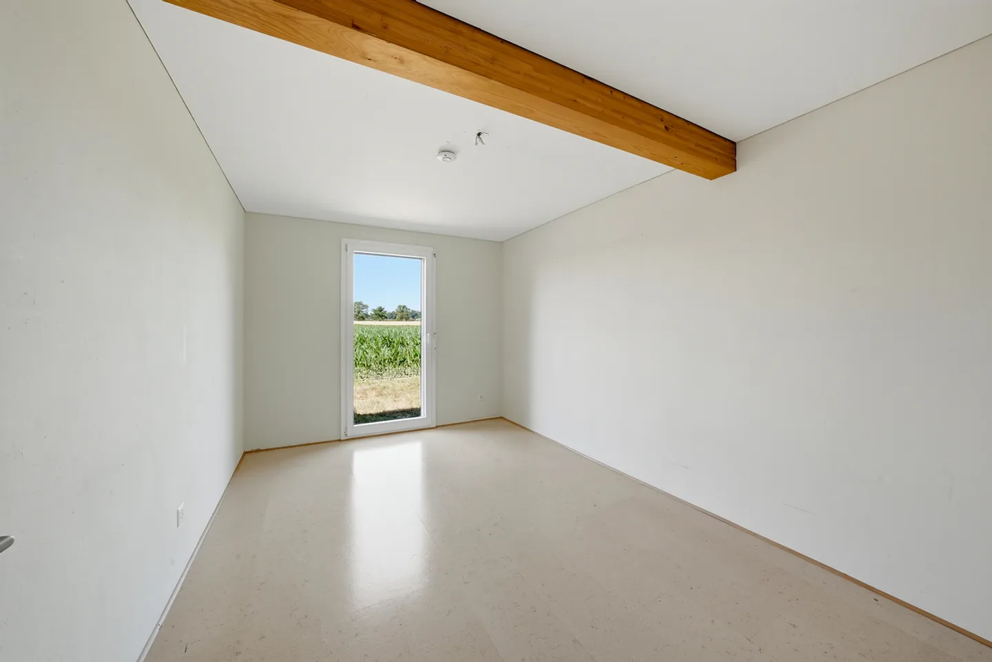 Architect-designed individual villa with magnificent view of the Moléson - Photo 9 of 13