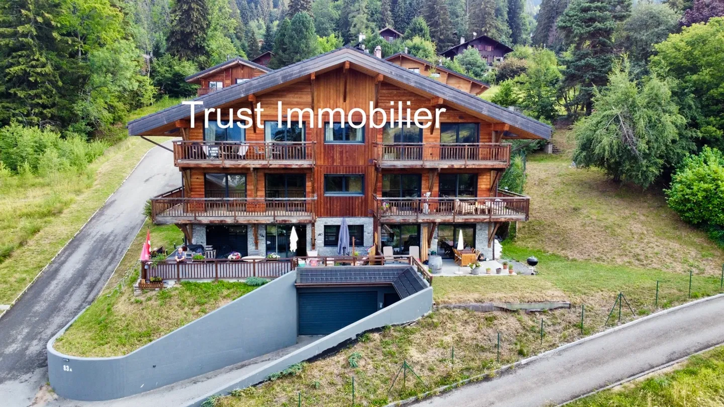 2012M-Gryon-Attic Apartment 3.5 Rooms - Photo 11 of 11