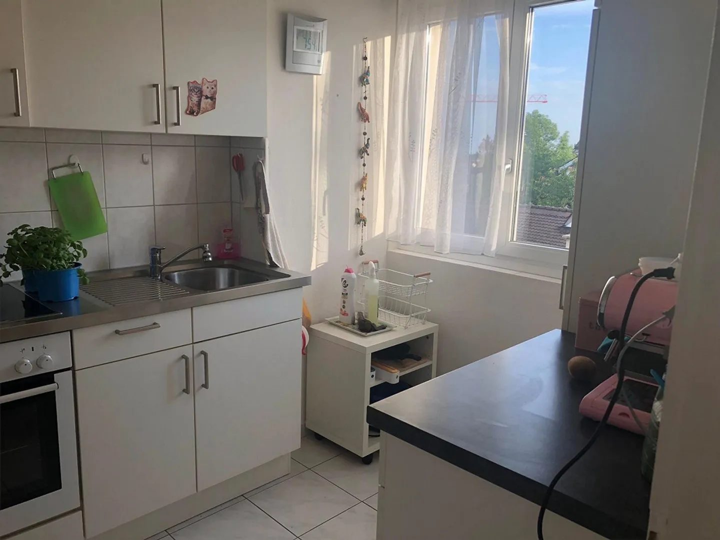 Charming apartment in a quiet location - Photo 5 of 6