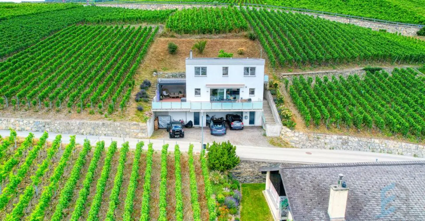 Exclusive Charming Detached Villa with 5 ½ Rooms in the Heart of the Vineyard - Photo 1 of 12