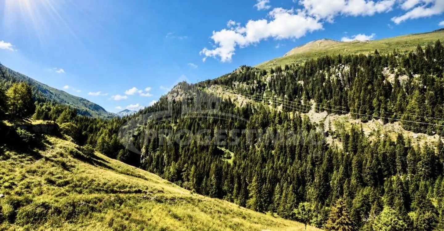 MAGNIFIKANTE 4,5-ZIMMER-WOHNUNG MIT UNVERBAUTER AUSSICHT IM HERZEN DER ALPEN - Foto 7 von 7