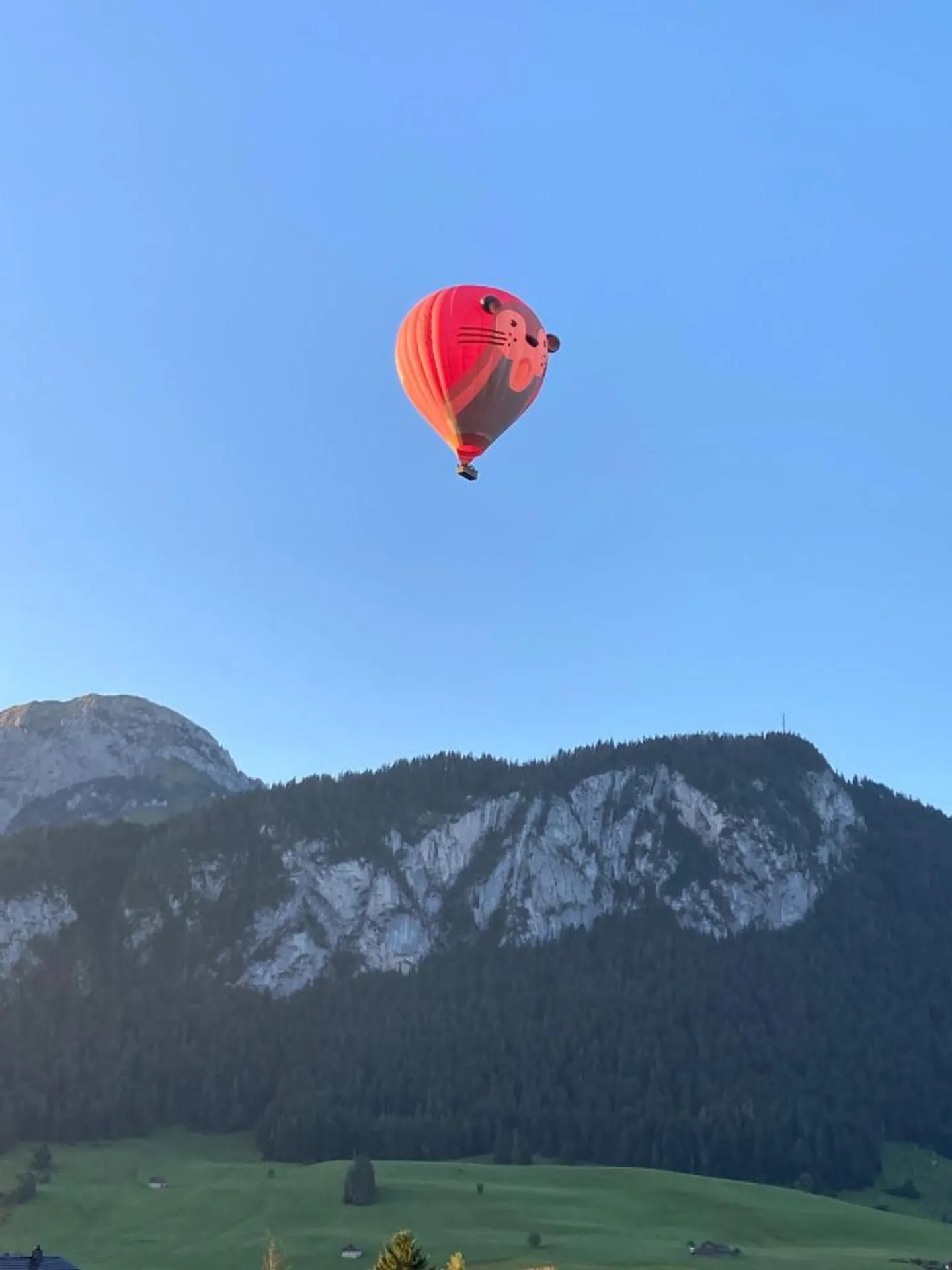 Magnifico appartamento di 5,5 stanze con vista panoramica sulle Alpi - Château-d'Oex - Foto 12 di 12