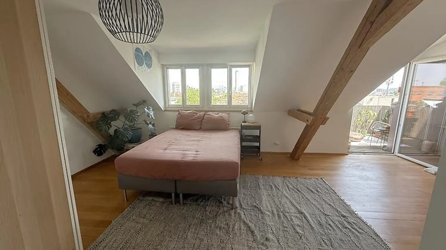 LOFT 2½ STANZE A BASEL - ST. JOHANN, ARREDATO, TEMPORANEO - Foto 6 di 10