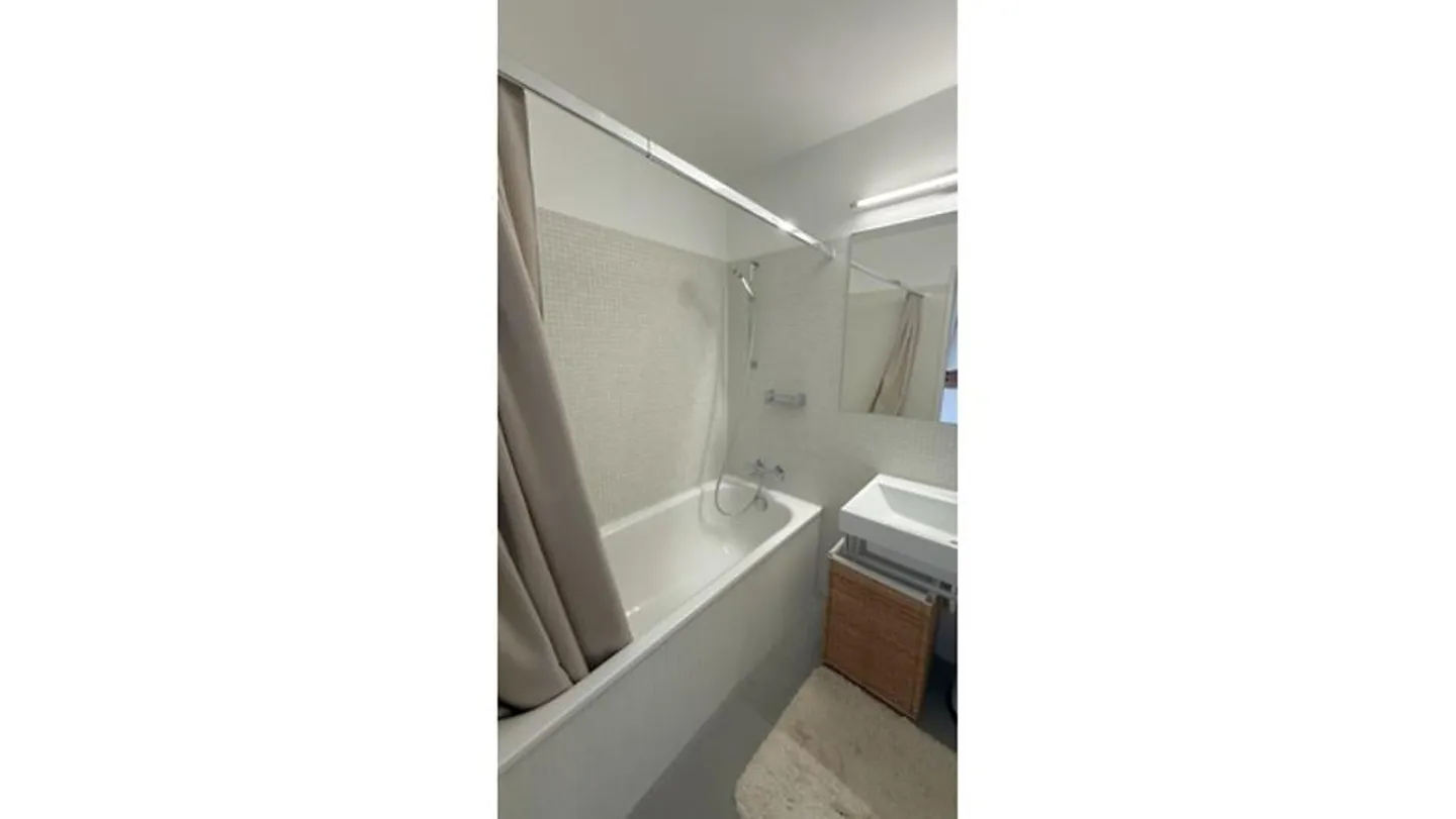 LOFT 2½ STANZE A BASEL - ST. JOHANN, ARREDATO, TEMPORANEO - Foto 8 di 10