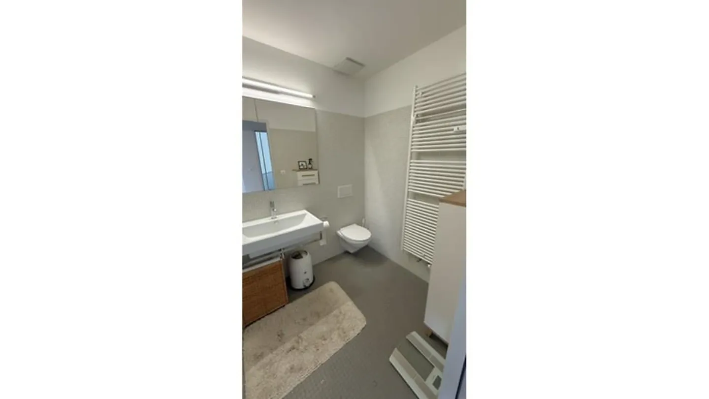 LOFT 2½ STANZE A BASEL - ST. JOHANN, ARREDATO, TEMPORANEO - Foto 9 di 10