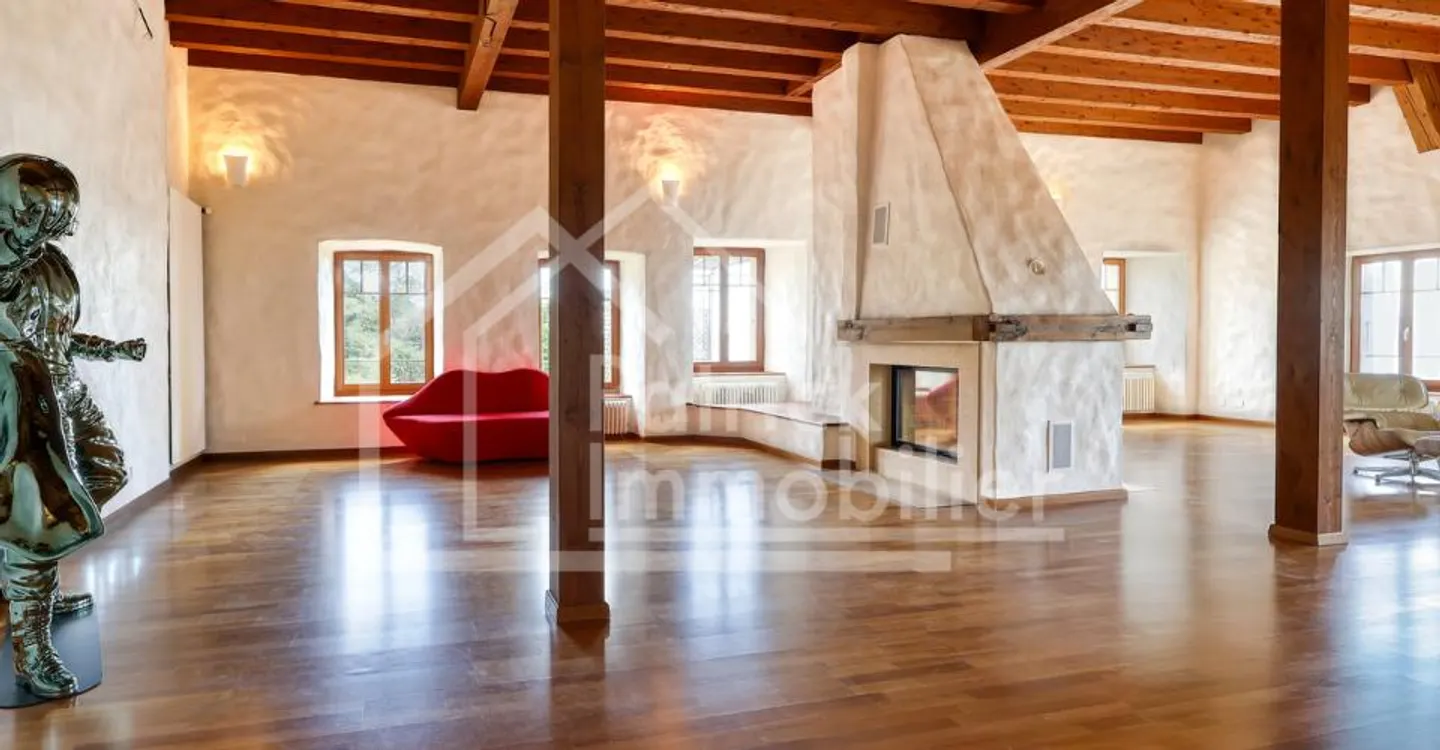 Triplex exclusif à Champagne - Photo 5 sur 13