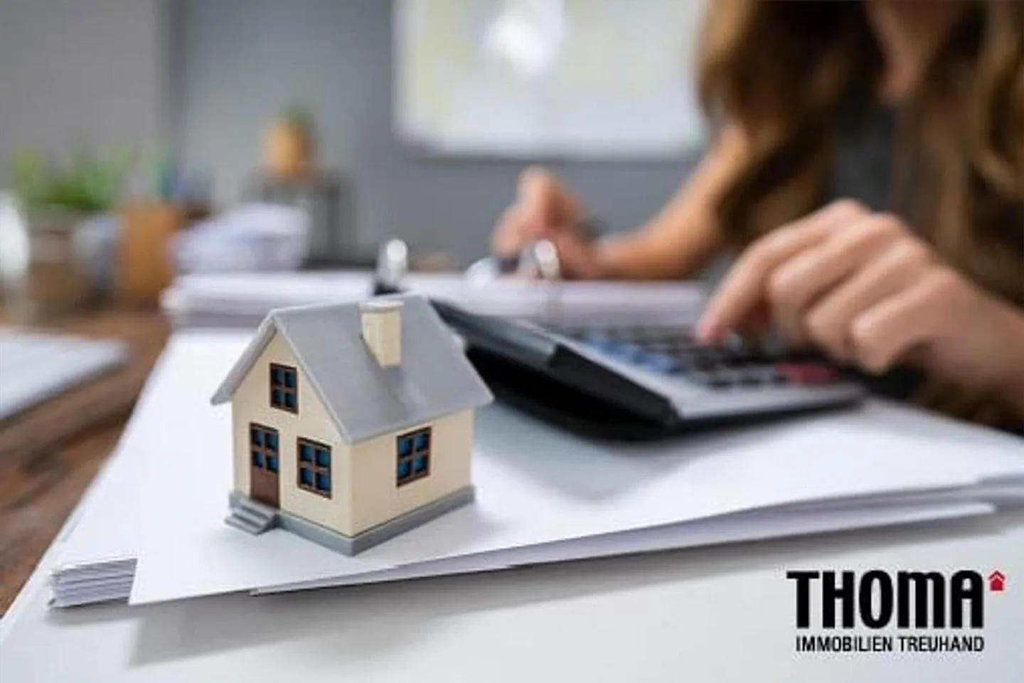 Ampia proprietà commerciale in Industriestrasse 2 a Sciaffusa - Foto 9 di 10