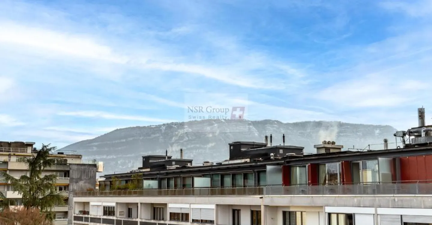 Magnifique appartement en attique en duplex à Malagnou - Foto 4 di 7
