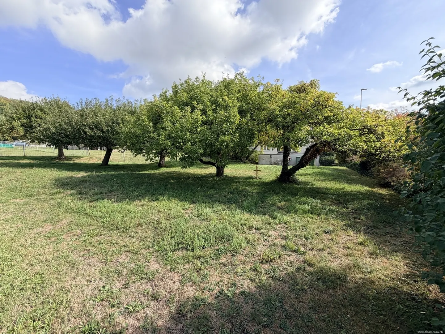 Prime Development Land in Weinfelden - Photo 1 of 3