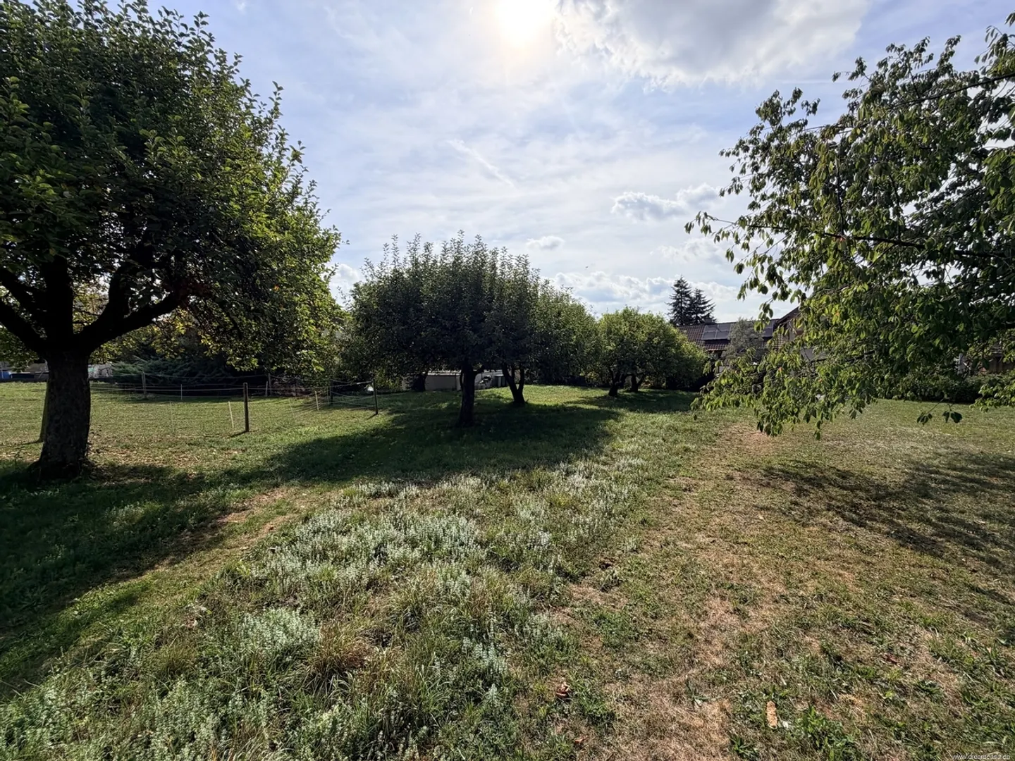 Prime Development Land in Weinfelden - Photo 2 of 3