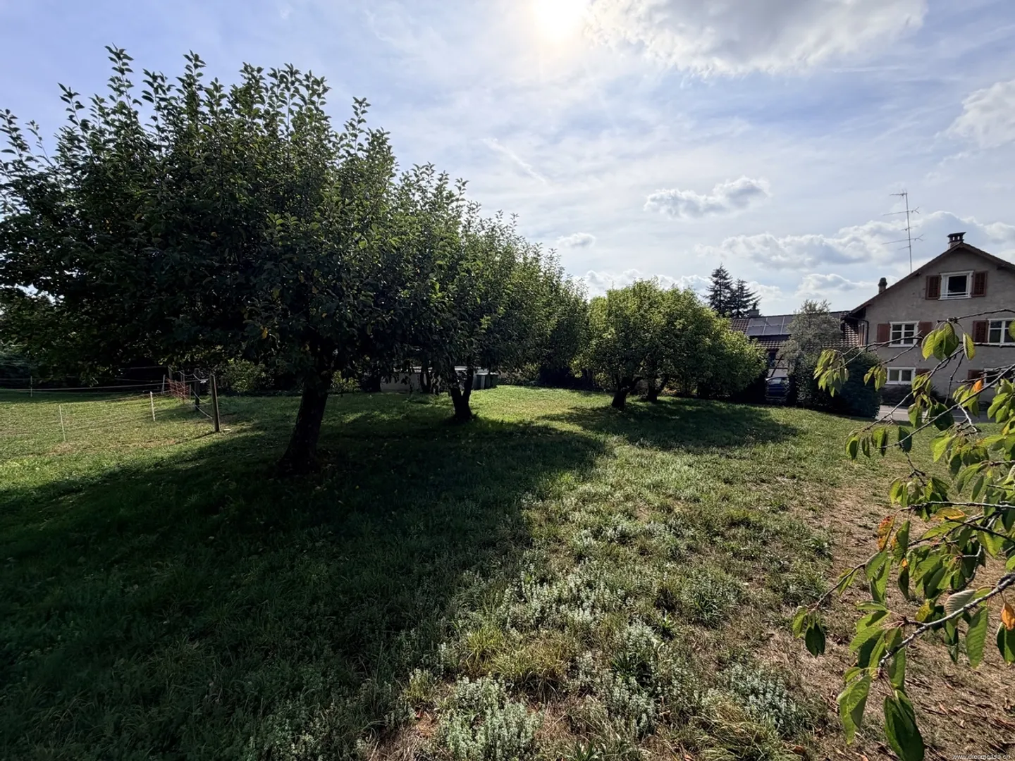 Prime Development Land in Weinfelden - Photo 3 of 3