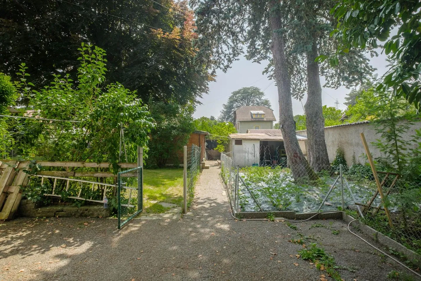 Einfamilienhaus kaufen - Foto 6 von 8