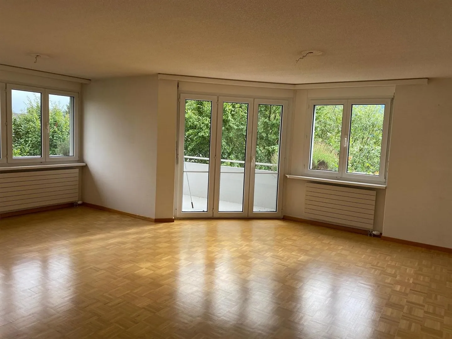 Appartement 3,5 pièces à Oberriet - Photo 3 sur 13