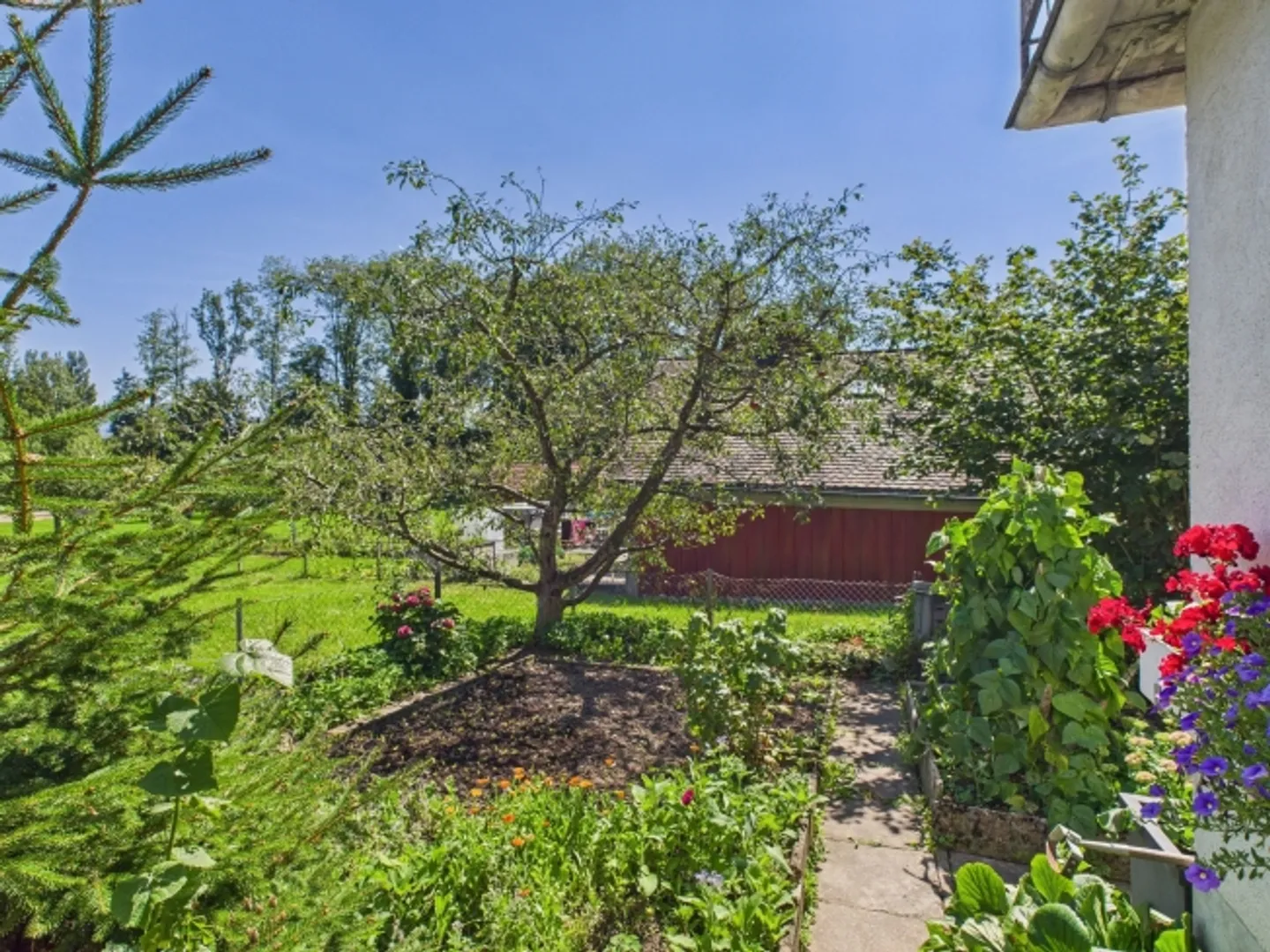 Charming single-family home with large outdoor space and plenty of potential - Photo 11 of 13
