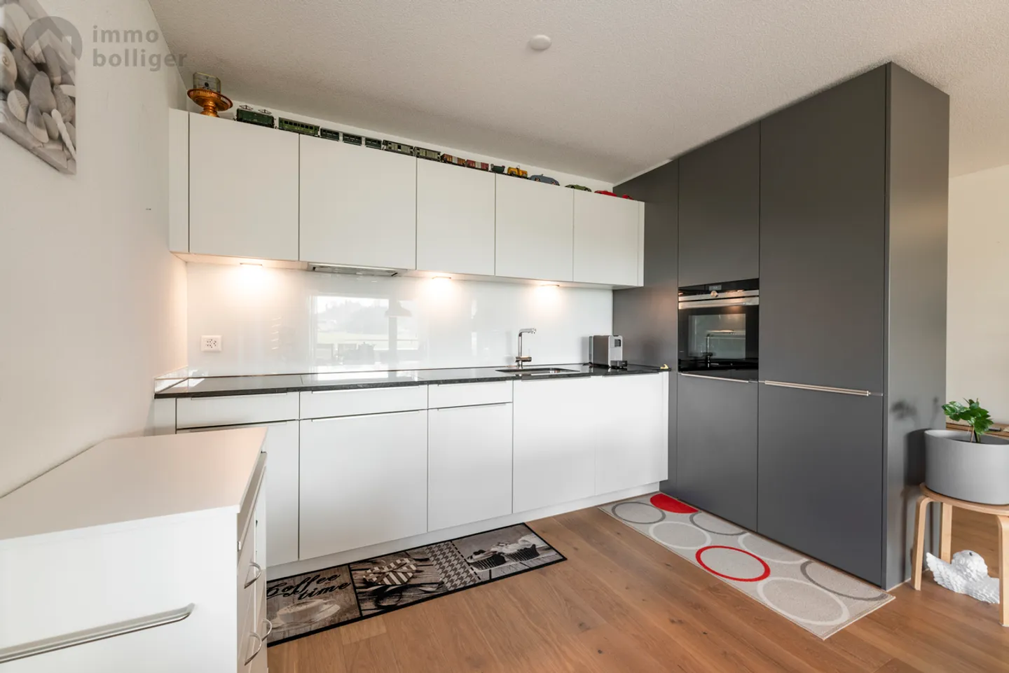 Modern 3.5 Room Apartment in Rural Idyl - Photo 3 of 13