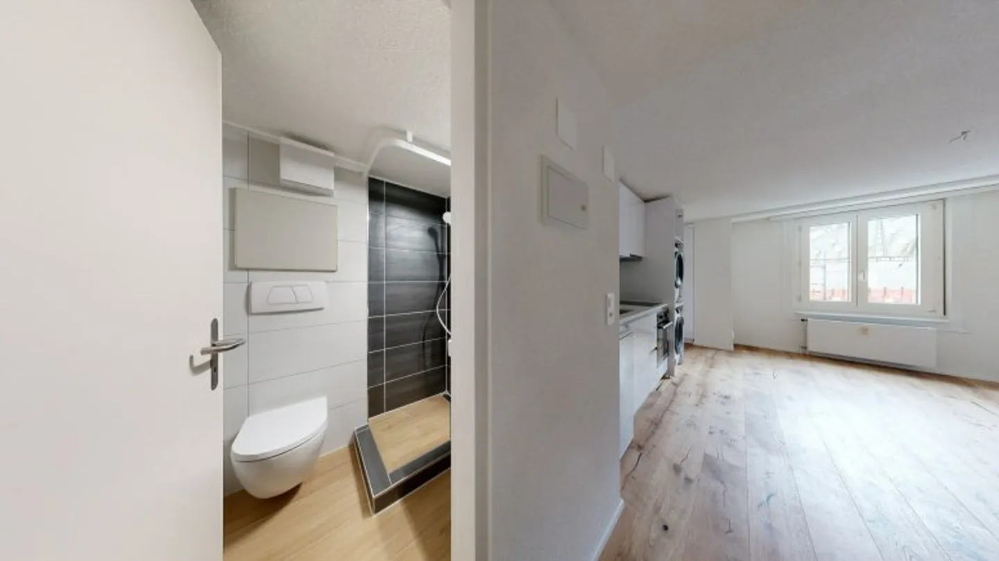 Moderne Wohnung an der Reuss - Foto 6 von 8