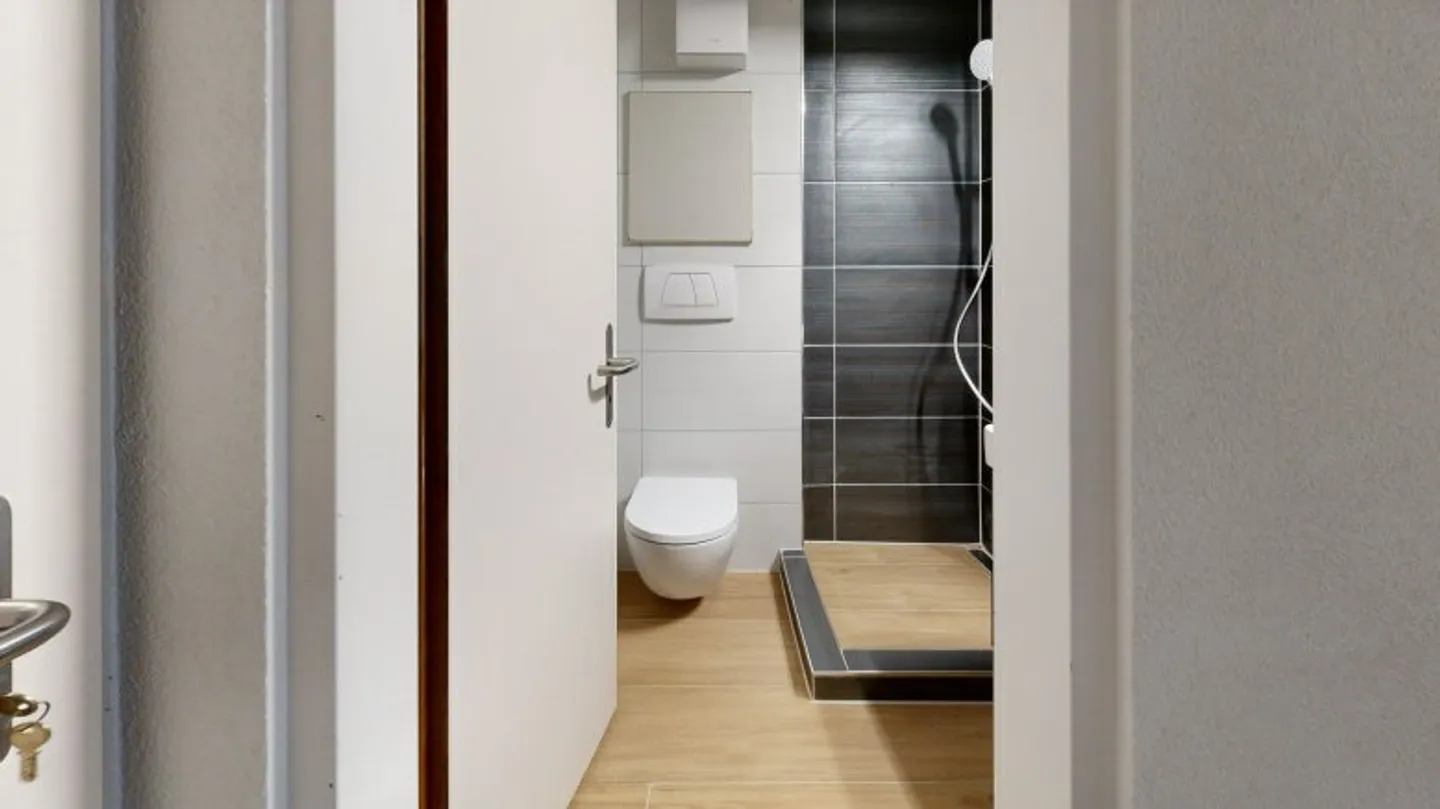 Moderne Wohnung an der Reuss - Foto 5 von 8