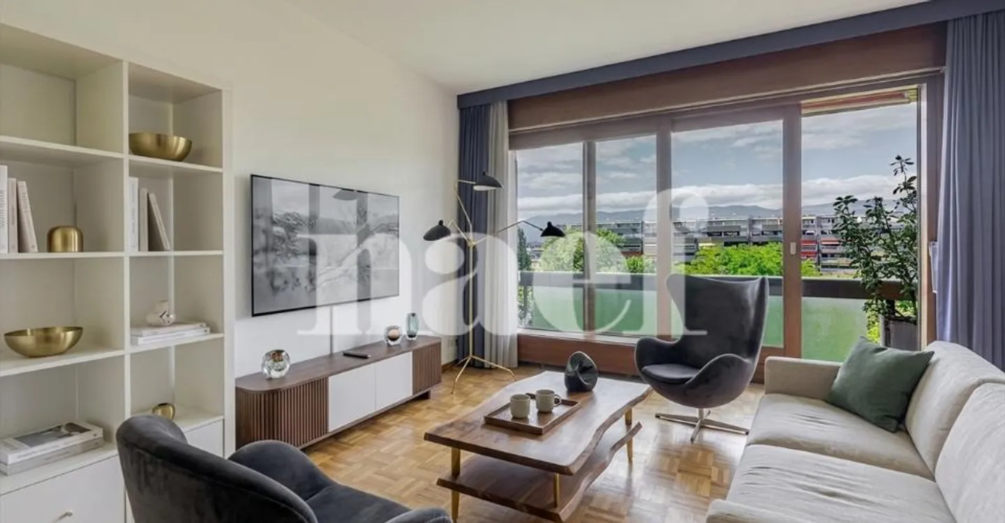 Petit-Saconnex - Bright apartment with unobstructed view just steps from international organizations - Photo 2 of 10