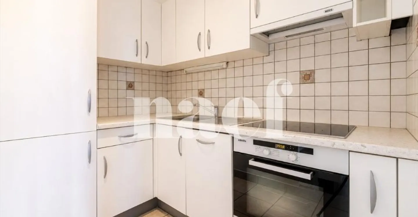 Petit-Saconnex - Bright apartment with unobstructed view just steps from international organizations - Photo 3 of 10