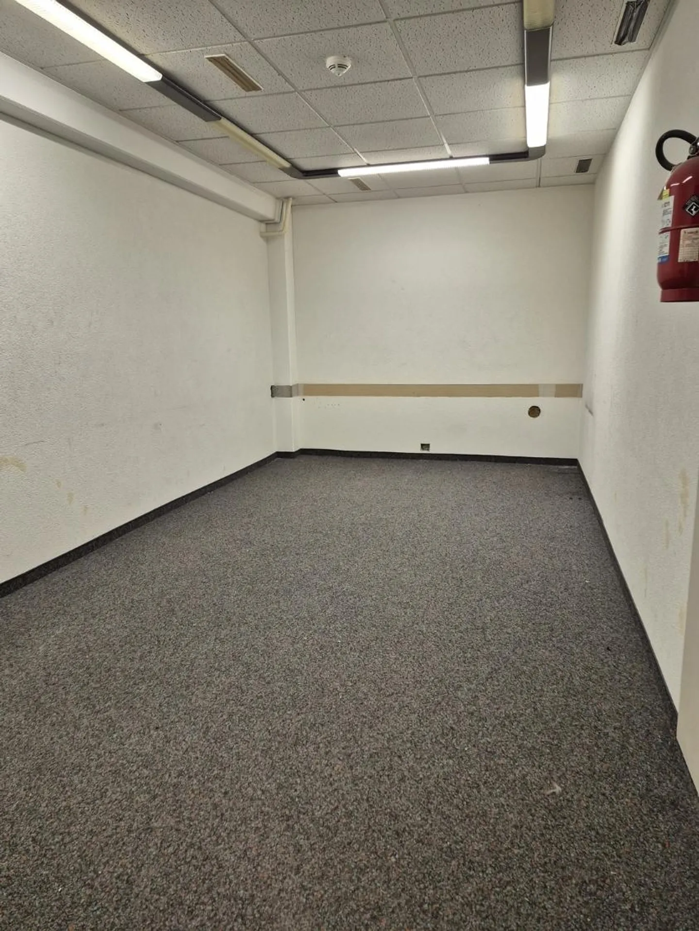 Spazi di stoccaggio versatili con ascensore - Foto 7 di 8