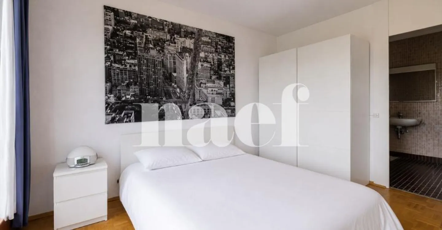 Petit-Saconnex - Bright apartment with unobstructed view just steps from international organizations - Photo 5 of 10