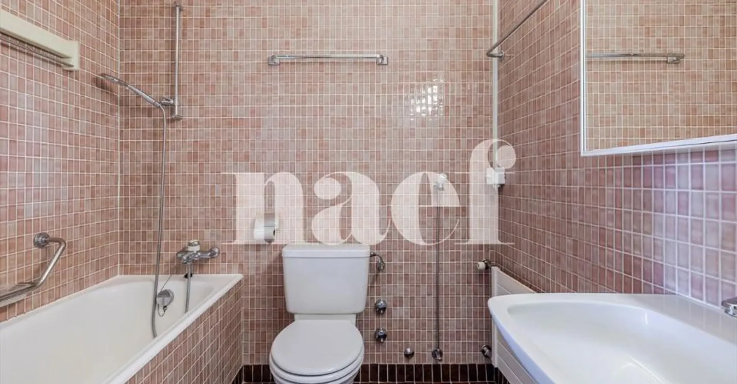 Petit-Saconnex - Bright apartment with unobstructed view just steps from international organizations - Photo 6 of 10