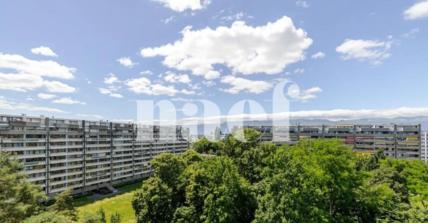 Petit-Saconnex - Bright apartment with unobstructed view just steps from international organizations - Photo 8 of 10