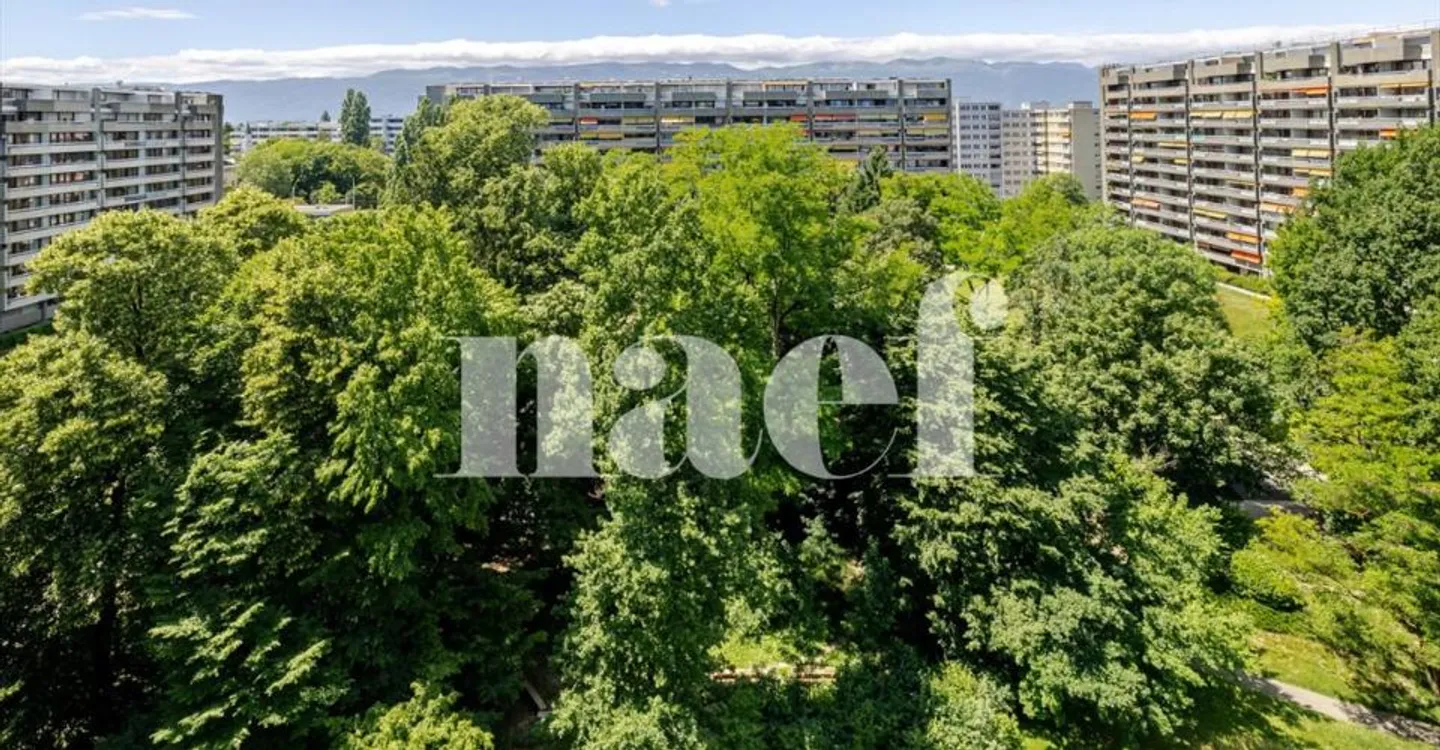 Petit-Saconnex - Bright apartment with unobstructed view just steps from international organizations - Photo 10 of 10