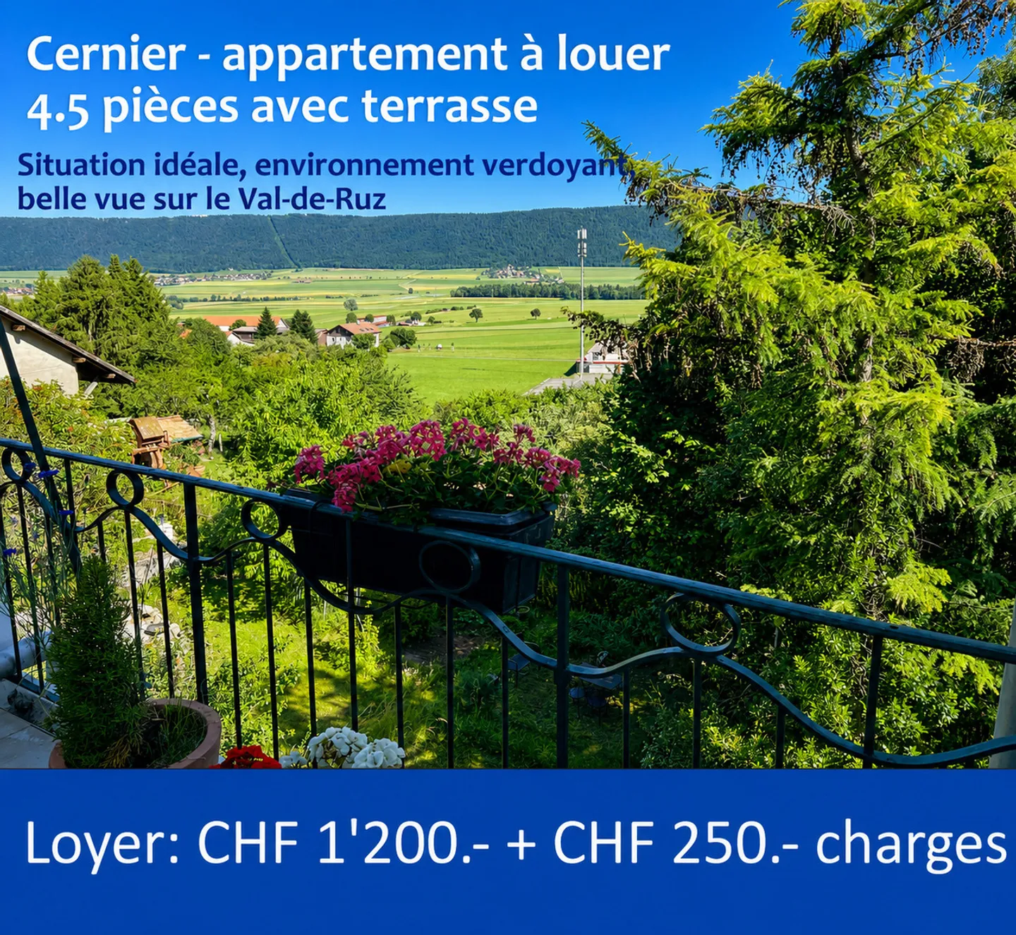 Charming renovated apartment with terrace in the heart of Cernier - Photo 1 of 1
