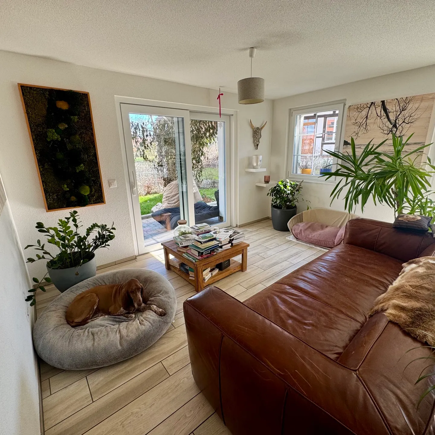 4½ ROOM APARTMENT IN KYBURG-BUCHEGG (SO), FURNISHED, TEMPORARY - Photo 1 of 9