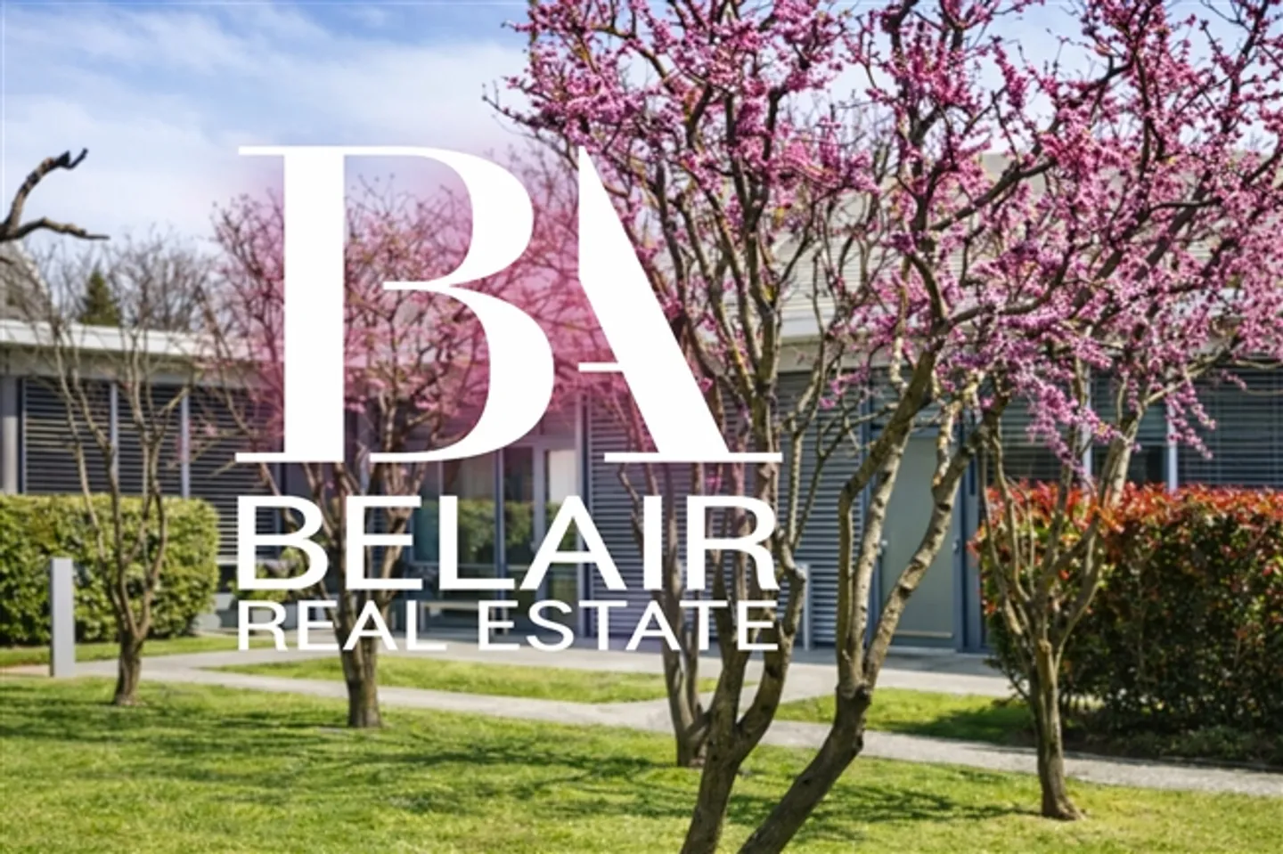 ✨ Contemporary Studio just a Stone's Throw from Carouge - Photo 1 of 6