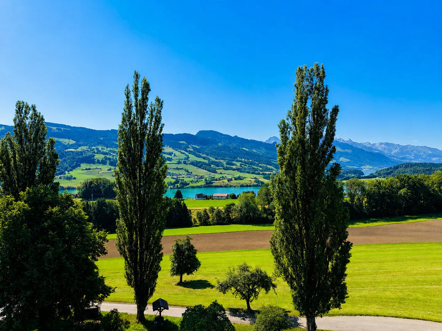 4,5 stanze - posizione unica - vista panoramica - giardino - terrazza - Foto 11 di 11