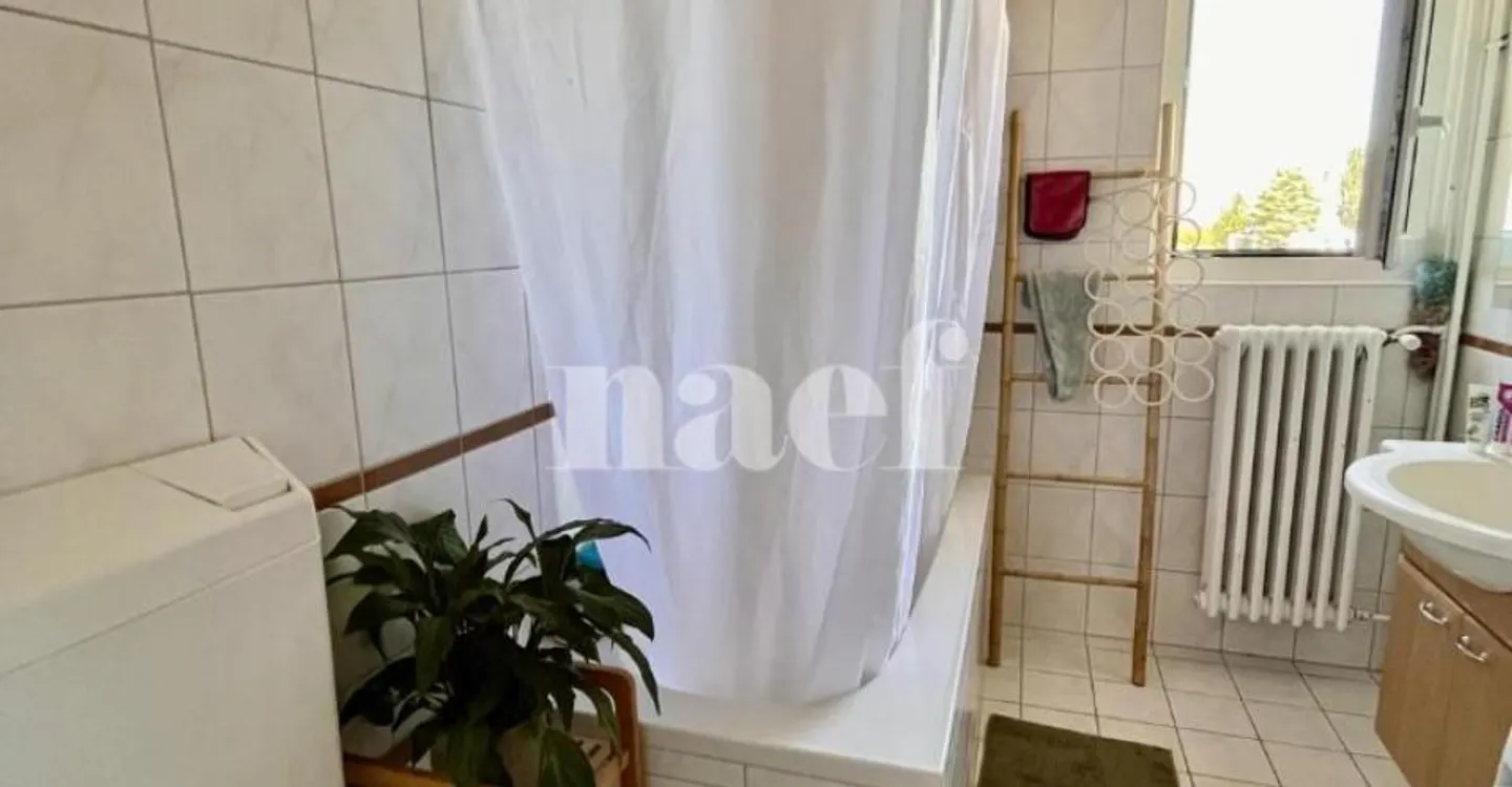 Appartamento 4.5 stanze - Foto 8 di 8