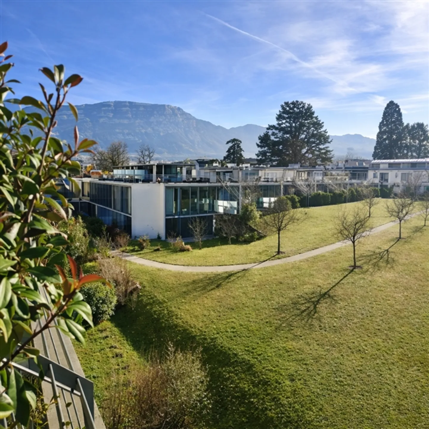 ✨ Contemporary Studio just a Stone's Throw from Carouge - Photo 5 of 6