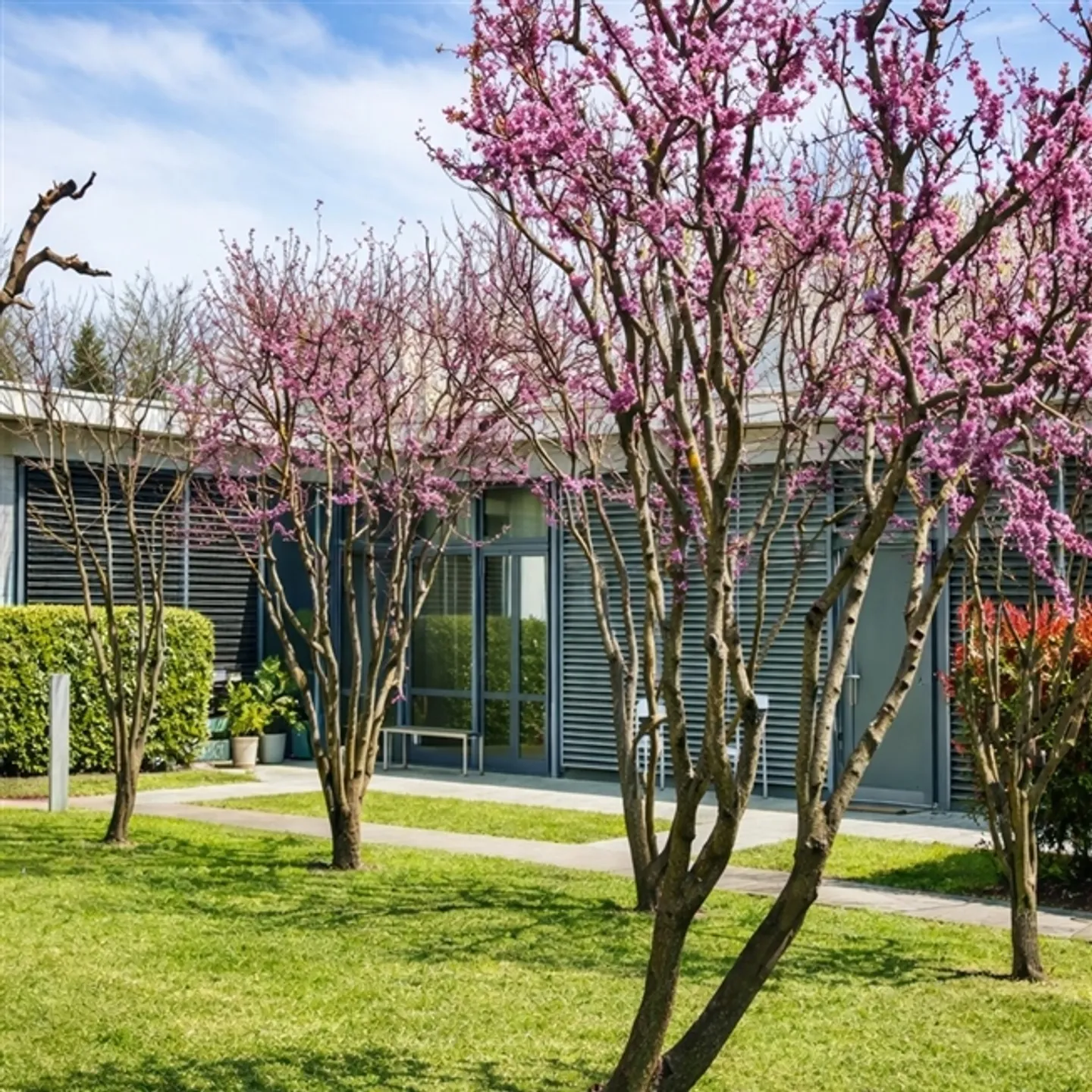 ✨ Contemporary Studio just a Stone's Throw from Carouge - Photo 6 of 6