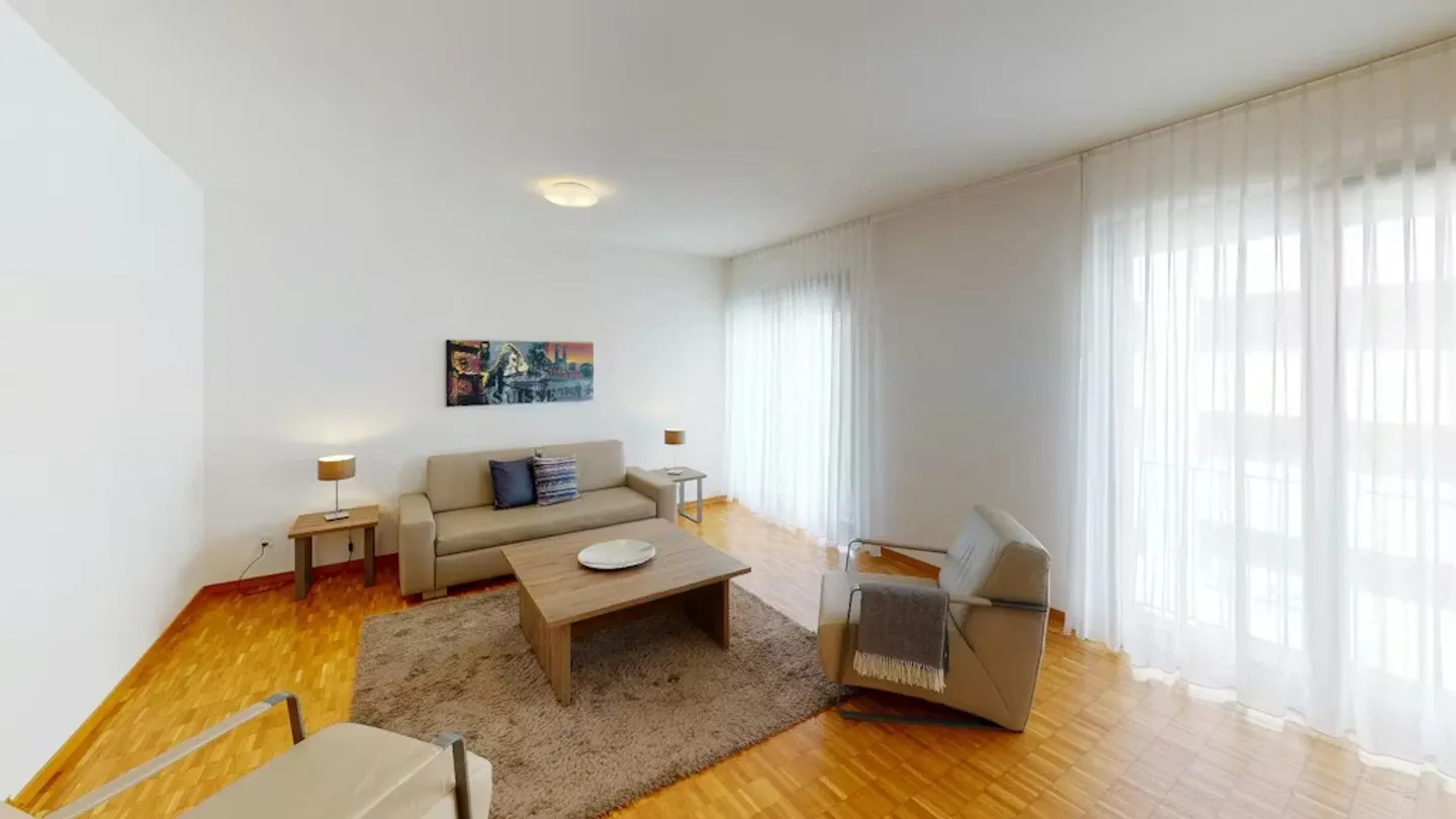 Modern Apartment in Basel - Photo 1 of 10